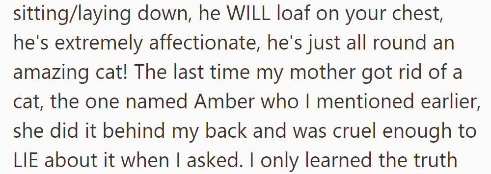 Nibbles is affectionate and dependent, but the last cat, Amber, was removed cruelly behind his back.