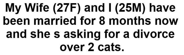 OP starts off by giving us a brief overview of how long they've been married and what the situation is.