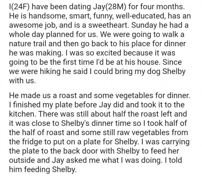 OP's boyfriend prepared roast and some vegetables to host her for the night. But he was quite surprised to see her trying to serve her dog a plate of this 