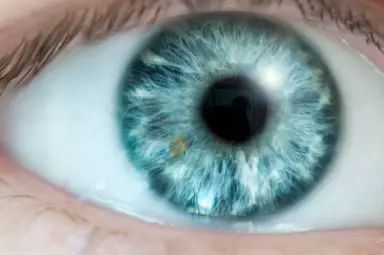 The ring of clear eyes isn't exactly the same