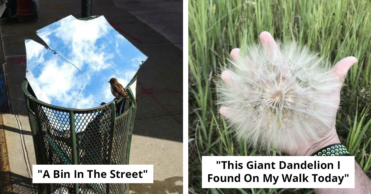 86 Strange Photos That Look Edited but Are Completely Real
