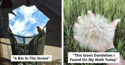 86 Strange Photos That Look Edited but Are Completely Real