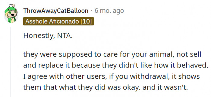 5. OP's in-laws had no right to sell Puca just because she didn't behave the way they would have liked her to