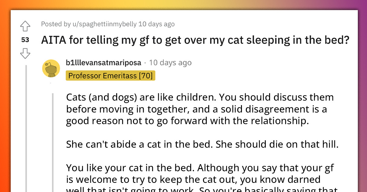 Redditor Told GF To "Get Over It" After She Expressed How His Cat Sleeping On The Bed Makes Her Uncomfortable