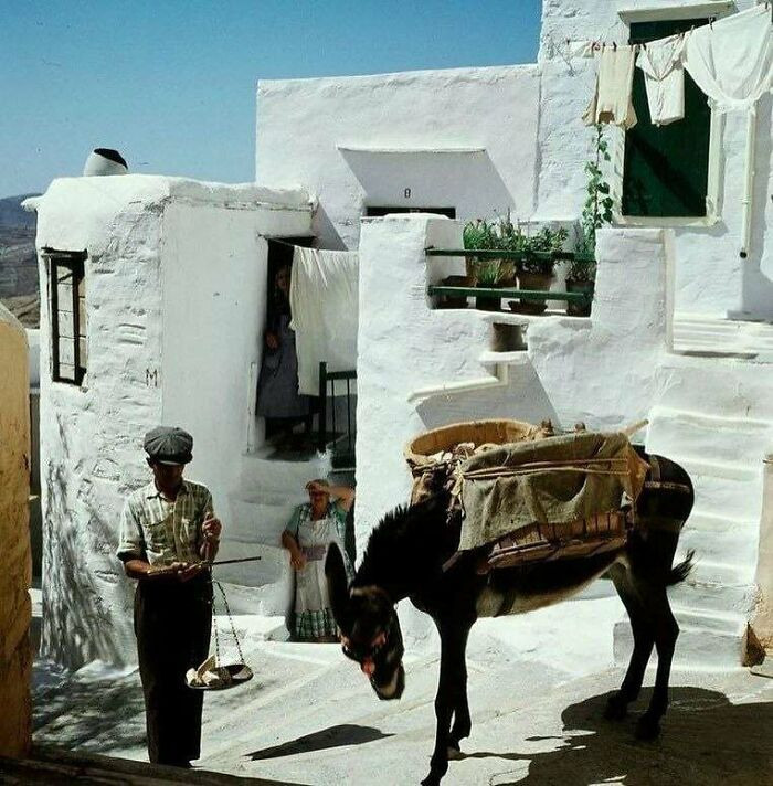 A glimpse into everyday life on the Greek islands in the 1960s, when time moved more slowly, communities were close-knit, and daily routines unfolded against whitewashed villages and the open sea.