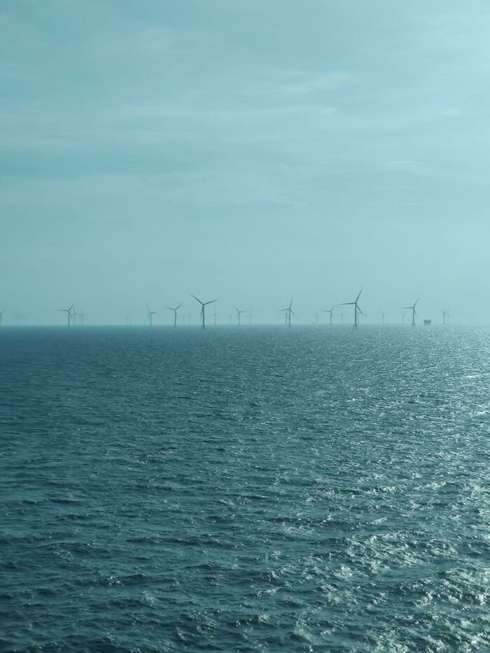 43. Went Past A Wind Turbine Farm On A Cruise. My Other Half Was Terrified!
