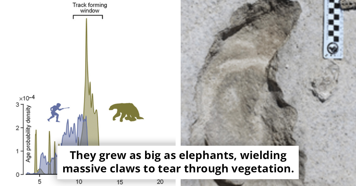 Ancient Tunnels in South America Reveal a Prehistoric Mystery