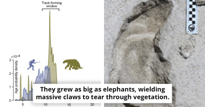 Ancient Tunnels in South America Reveal a Prehistoric Mystery