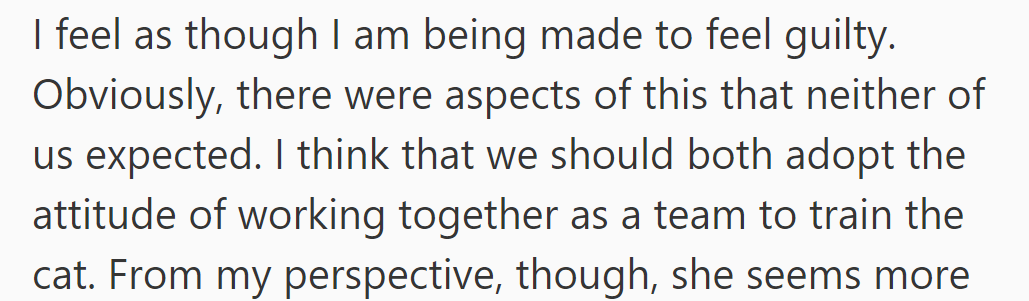 He feels unfairly blamed. Unexpected challenges arose, suggesting they adopt a team approach to cat training.