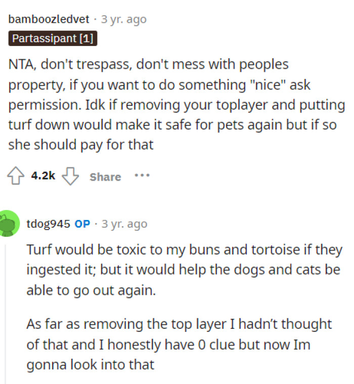 People tried giving OP some advice on how she could handle it and how she could allow her pets to be back outside again.