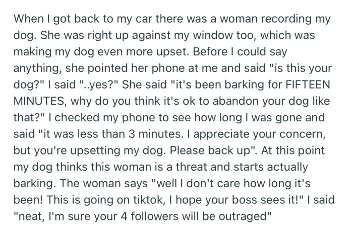 OP came back to find a woman making a video of their dog alone in the car and threatening to tell the world that they’re a bad pet owner