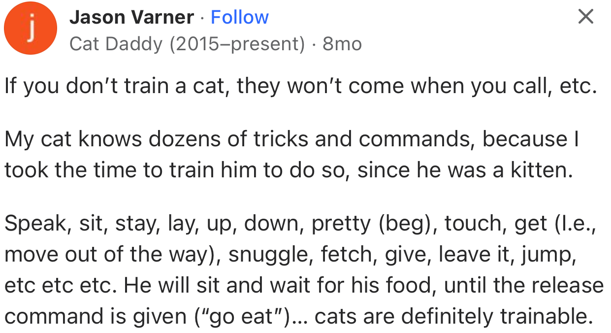 “My cat knows dozens of tricks and commands because I took the time to train him to do so since he was a kitten.”