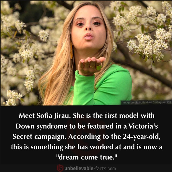 40. A Dream Come True