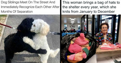 50 Unexpectedly Wholesome Situations That'll Bring Back Your Faith In Humanity