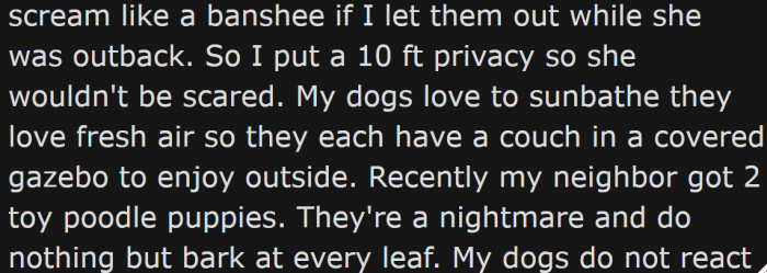 Everything Was Fine Until Her Neighbor Got Two Toy Poodle Puppies.
