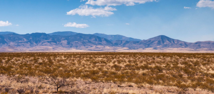 Things About New Mexico That Sound Made Up