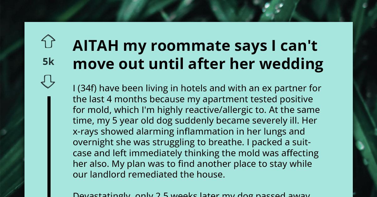 Wedding Countdown Becomes A Hostage Situation At Home