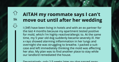 Wedding Countdown Becomes A Hostage Situation At Home