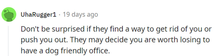 The pursuit of a dog-friendly office could turn into a 