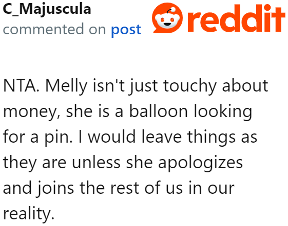 Redditor suggests that the sister is a 