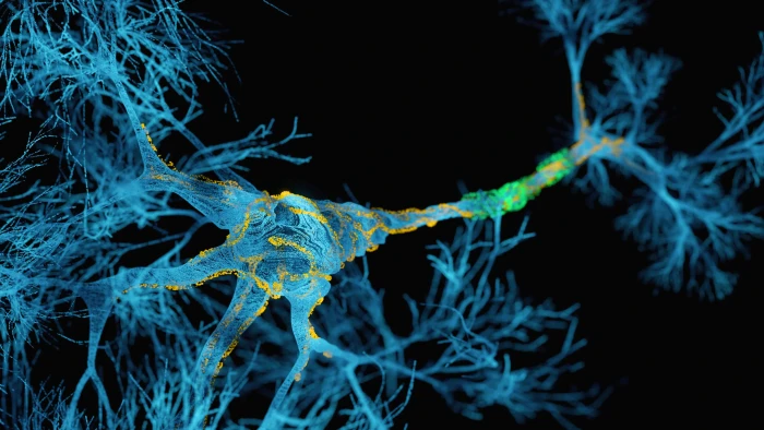 Tom’s journey with ALS, from running to wheelchair use for awareness