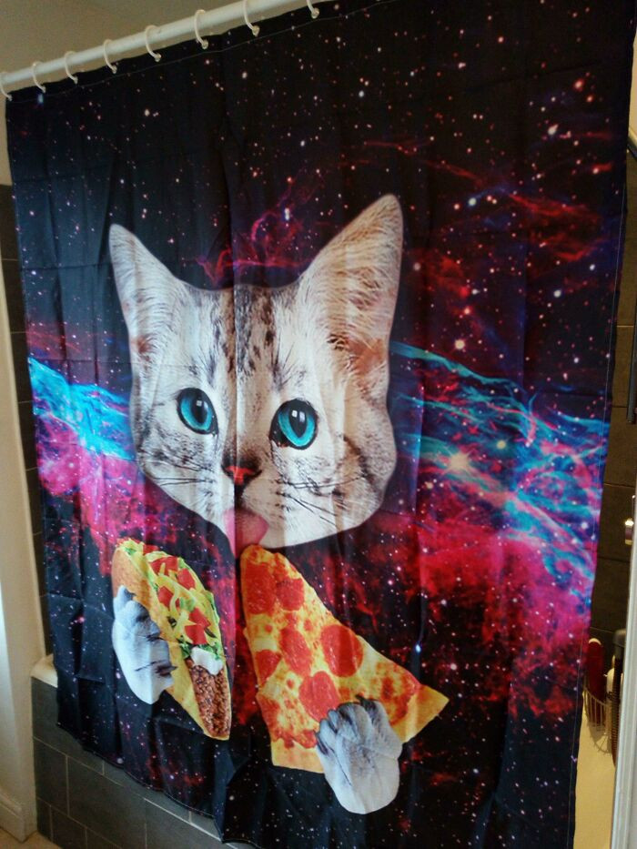 "I Was In Charge Of Buying A New Shower Curtain Today And Purchased The Best One In The World. SO Disagrees"