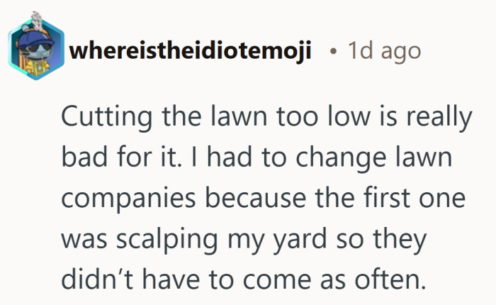 An unexpected reminder that obsessive neatness can actually backfire on the grass itself.