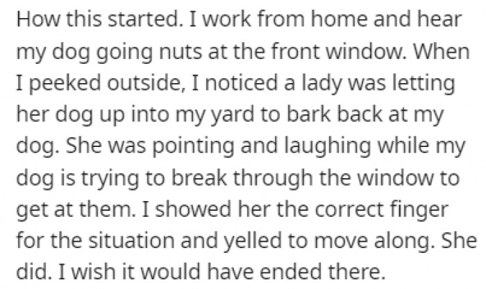 It All Started One Day When OP Heard Their Dog Going Crazy Outside, So They Went to Check What Was Happening