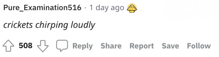 No further words needed for this one. Let the crickets do the talking.