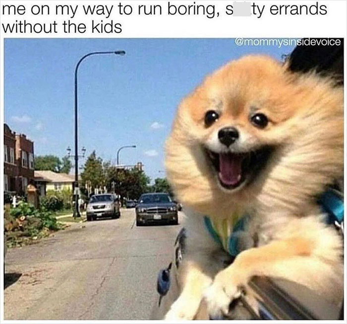 19. I think we can all agree that this is how we feel when we get to do this.