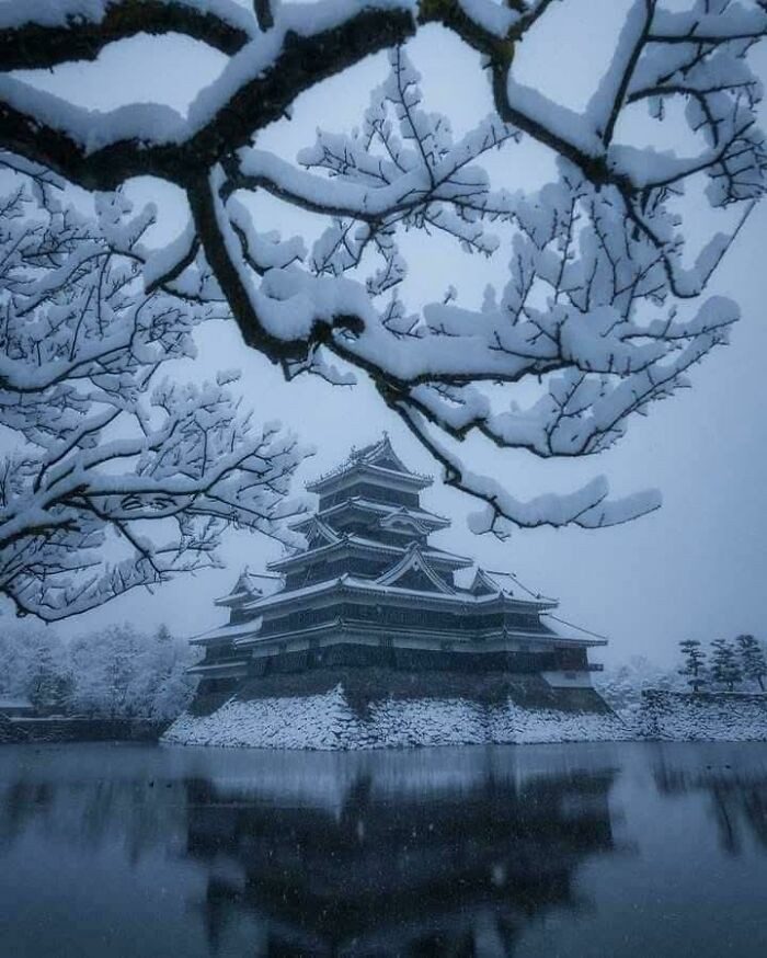 Snow In Osaka, Japan