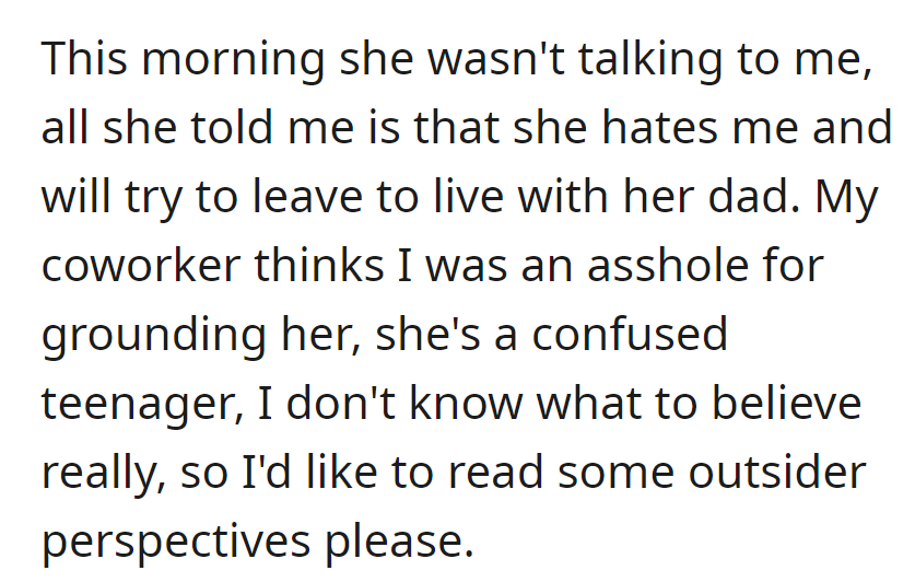 Now Amelie Hates OP. Additionally, OP Was Also Criticized by a Coworker for Grounding Her.