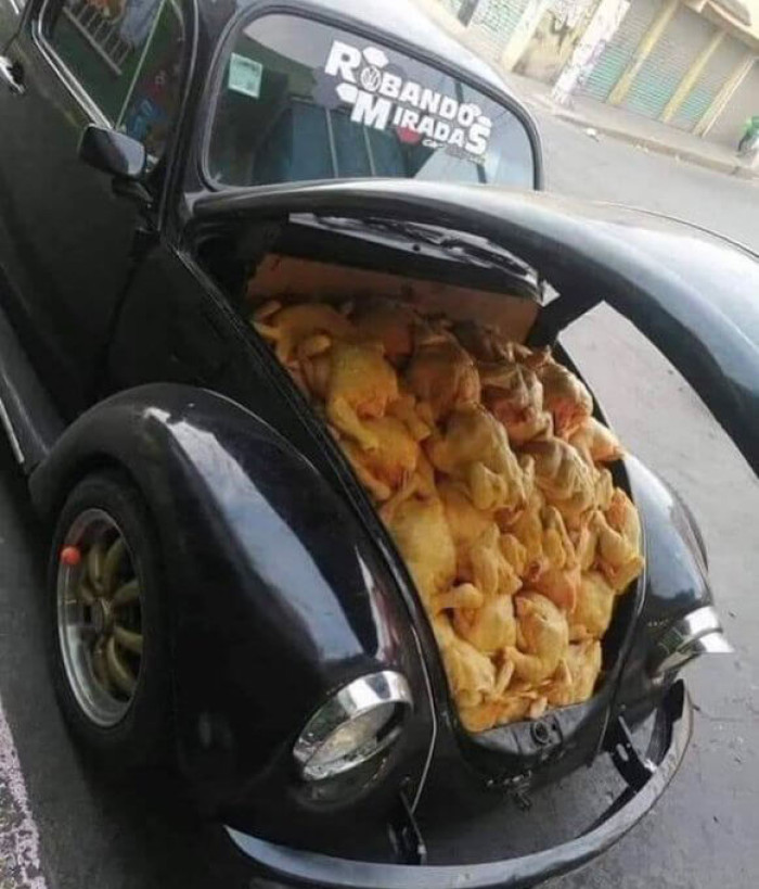17. Chicken-powered car