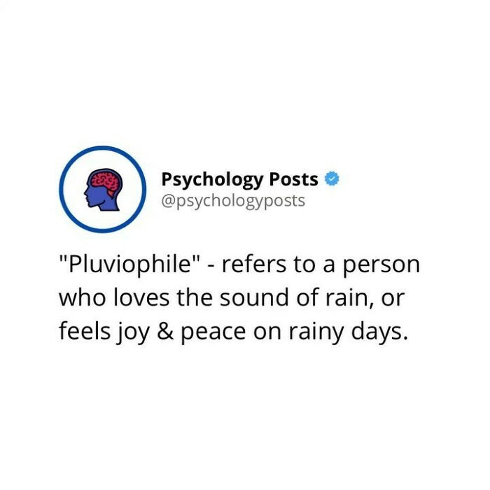 If you love the sound of the rain, this is you.