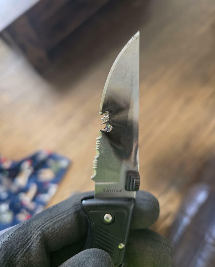 "Slipped While Cutting Something Next To A Live 14-2 Cable"