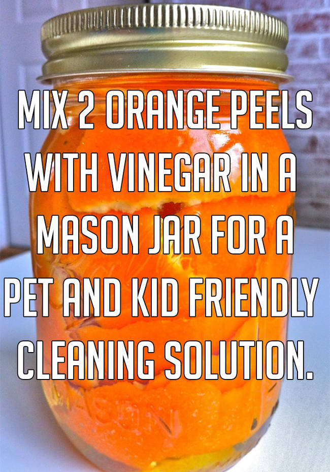 8. An excellent alternative cleaning solution if you have pets or kids