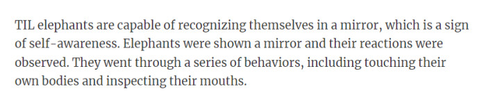 I wonder how many other animals will do this.