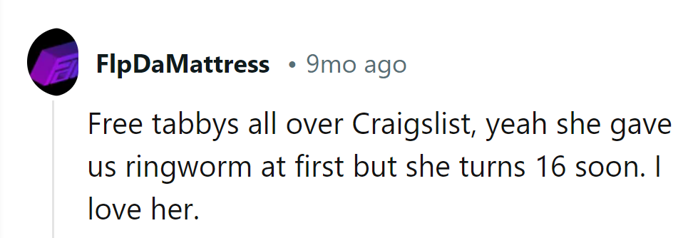 From ringworm to royalty: Craigslist's finest, now ruling the roost at 16!