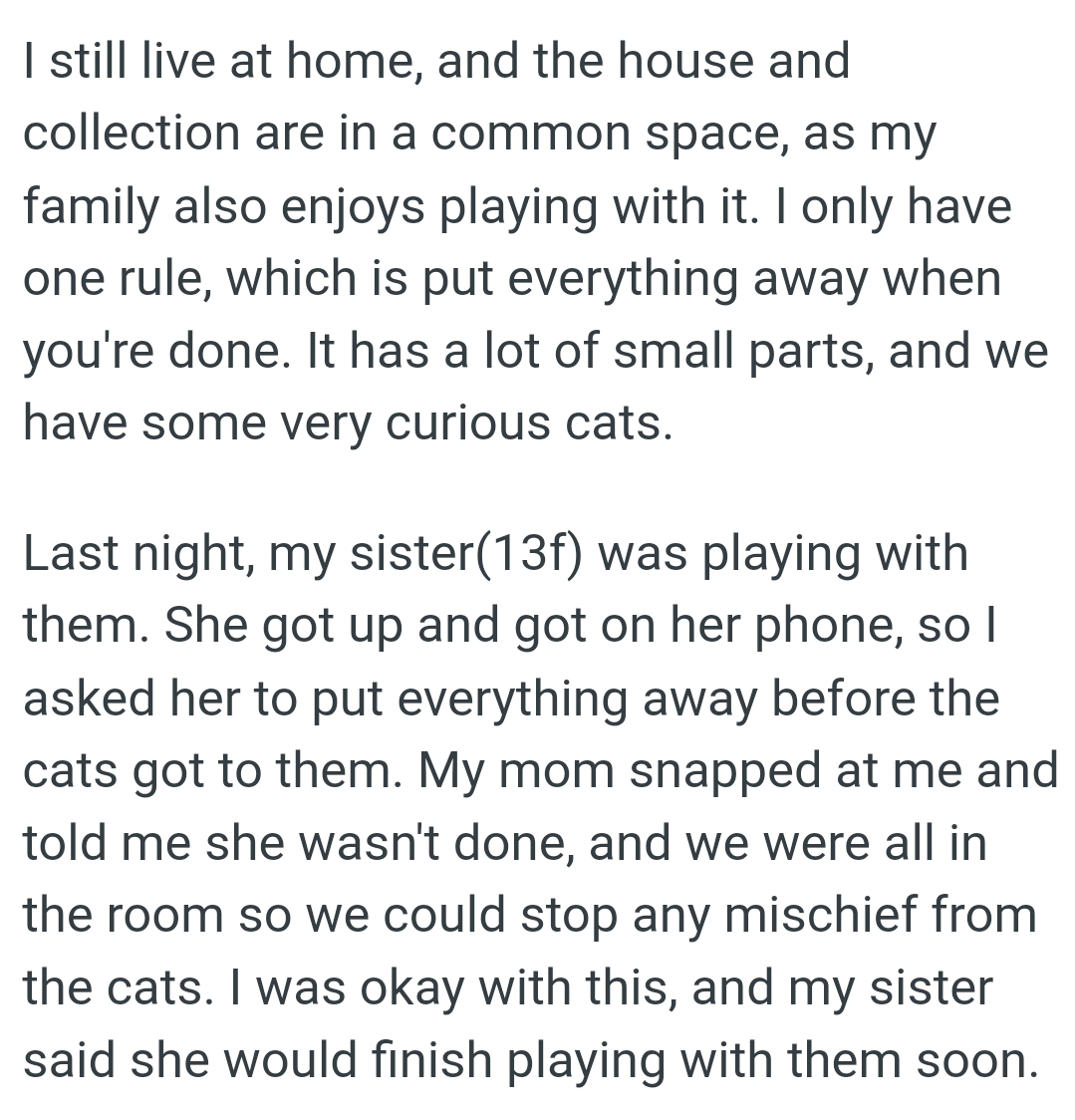 The OP Asked Her to Put Everything Away Before the Cats Got to Them
