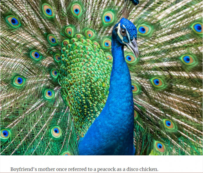 1. Peacock was said to be a disco chicken