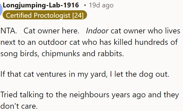 OP should let her dog out when the cat enters her yard.