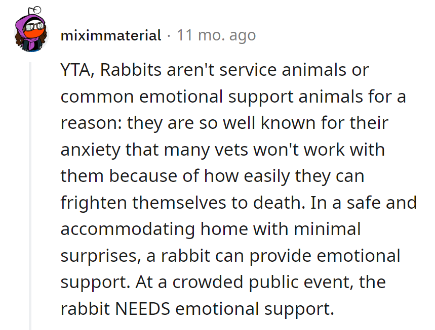 Maybe next time, bring a therapy turtle for a slower-paced drama.