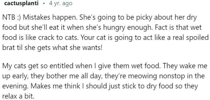 Cats and Their Love for Wet Food