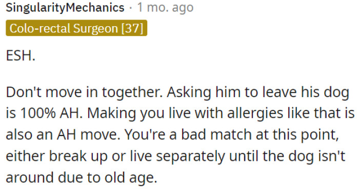 Moving in together may not be wise as it's unfair to ask him to leave his dog, and dealing with allergies is a tough situation.