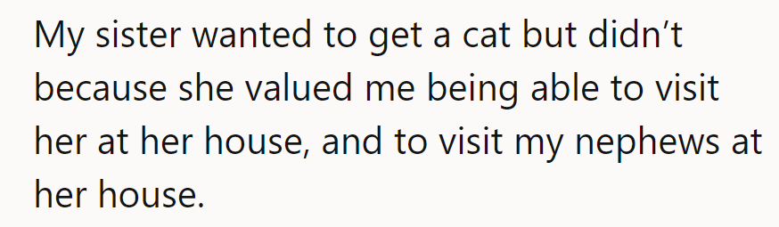No catnip capers at sis's place! She chose family over feline to keep visits open and allergy-free.