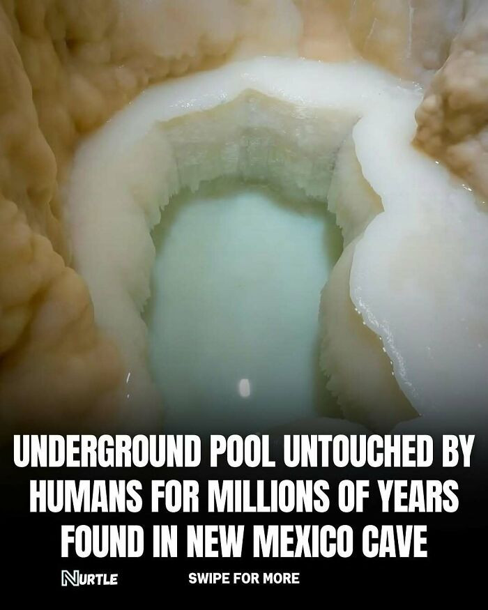 A Hidden Pool Lost in Time