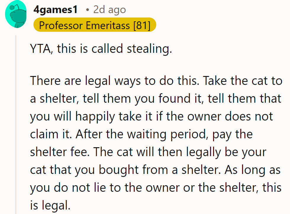 YTA. Stealing cats isn't cool. Try legally adopting from a shelter instead—honesty’s the best policy!