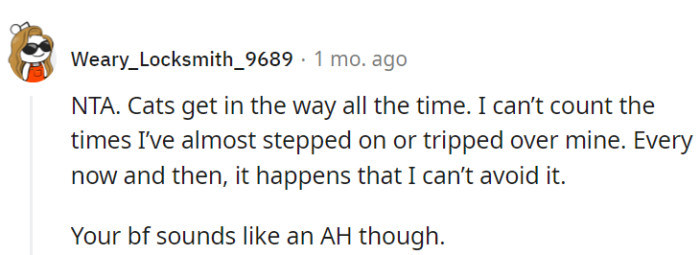 Cats have practically patented the art of being underfoot.