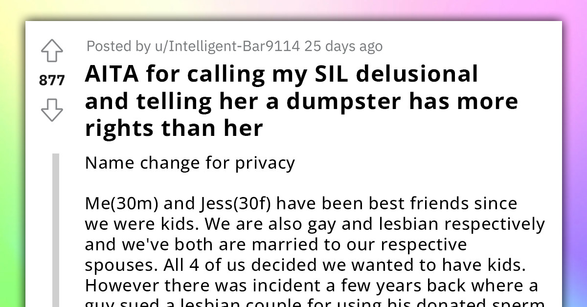 Redditor Tells Off Sister-In-Law After She Calls Out Him And His Surrogate
