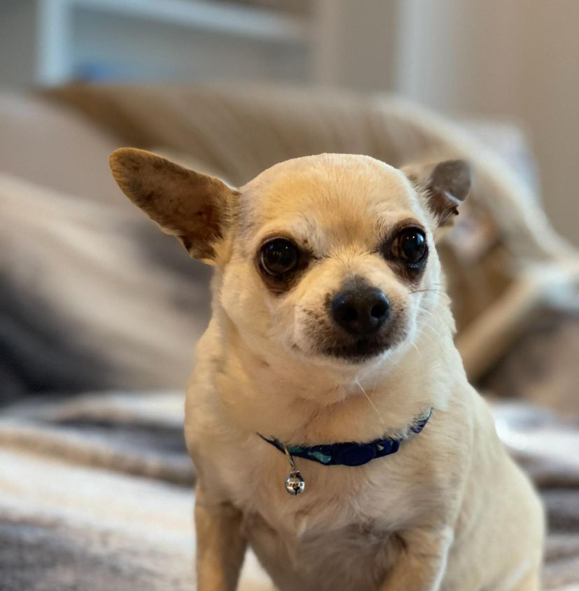 19. ‘King’ of stealing hearts effortlessly.